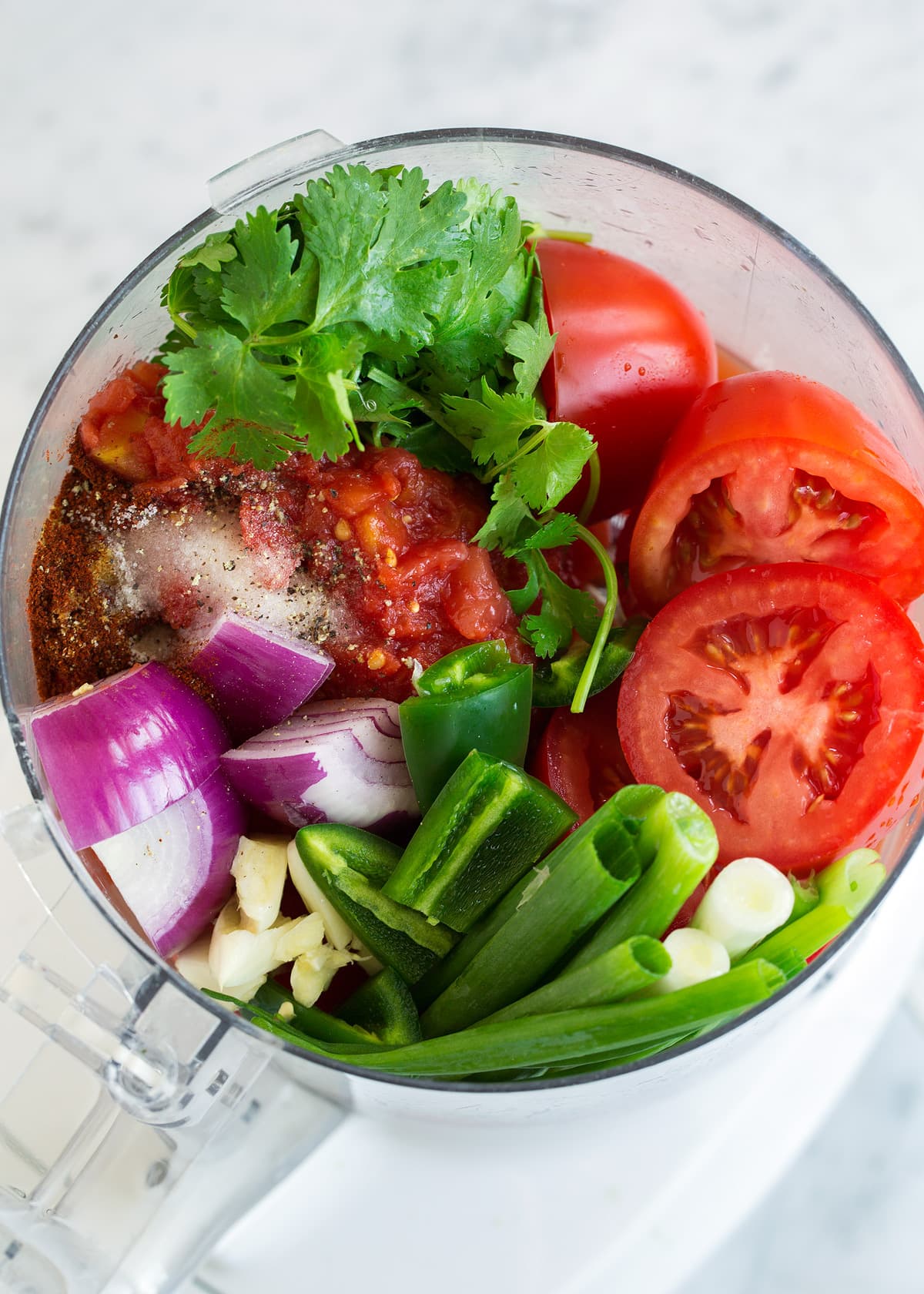 Showing how to make fresh Salsa. Roughly chopped vegetables in a food processor before blending.