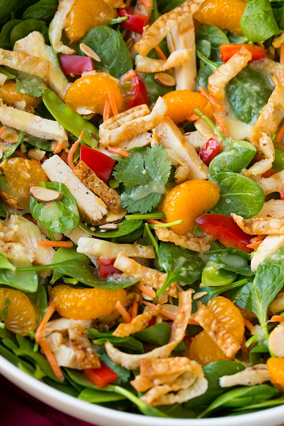 close up of mandarin orange salad with chicken in bowl