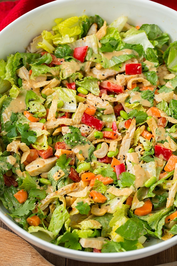 Thai Chicken Salad with Orange Peanut Ginger Dressing | Easy Cooking Zone