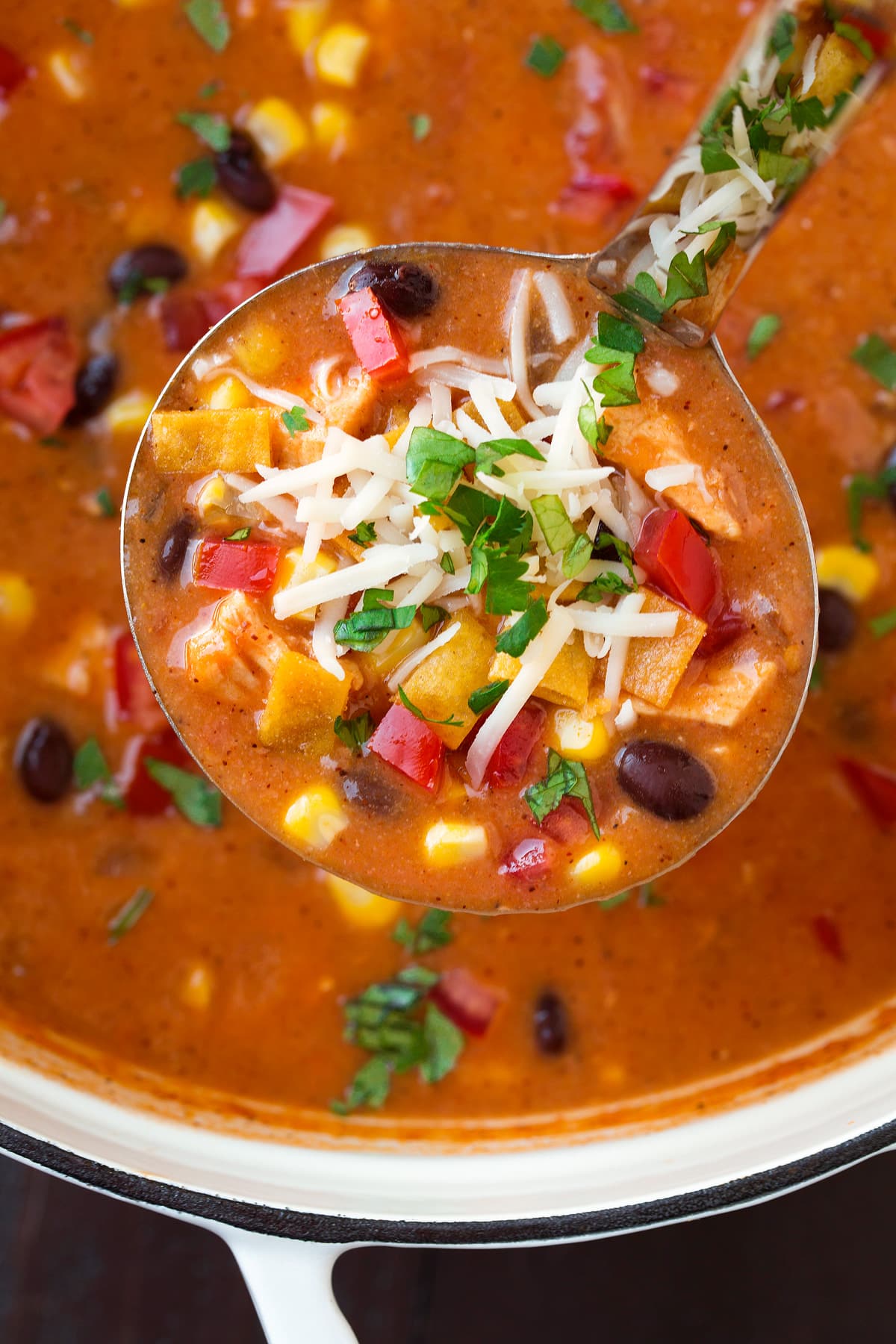 Ladle full of chicken enchilada soup with toppings.