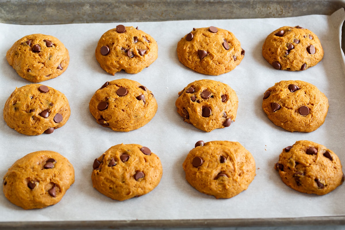 Twelve pumpkin chocolate chip cookies shown on a baking sheet on parchment paper after baking. 