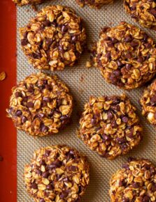 Pumpkin Oat Chocolate Chip Breakfast Cookies