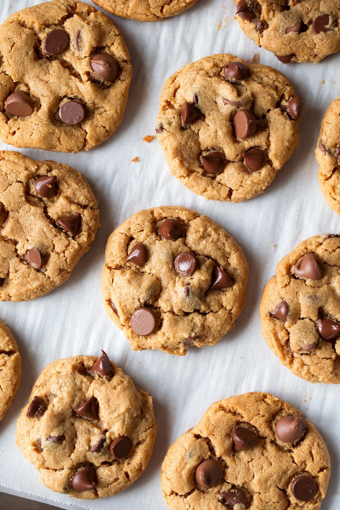 Flourless Peanut Butter Chocolate Chip Cookies