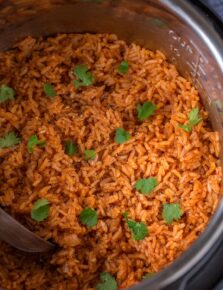 Instant Pot Mexican Rice