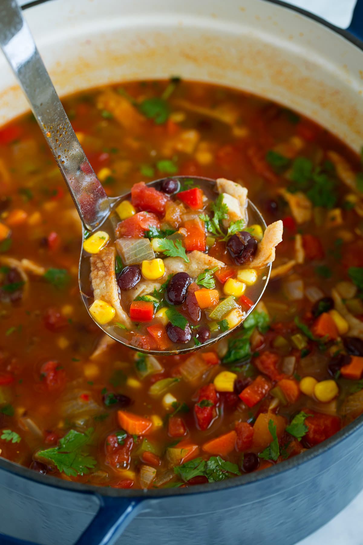 Black Bean Tortilla Soup