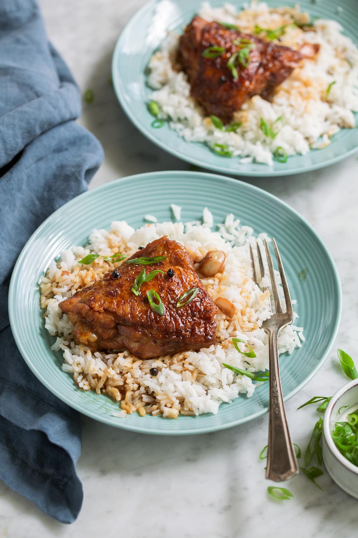 Two servings of chicken adobo on turquoise serving plates with white rice. 