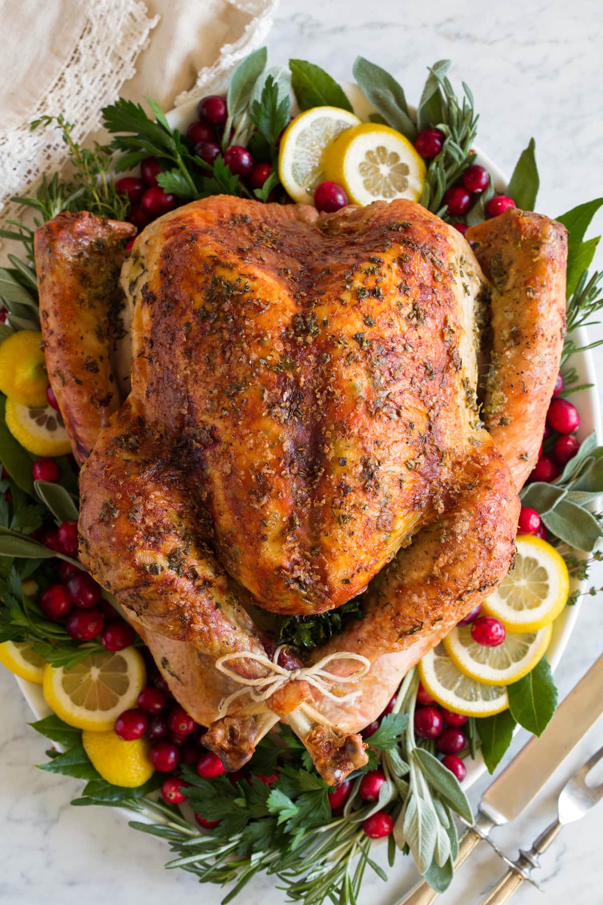 Overhead image of whole turkey on a white platter garnished with fresh herbs, lemon slices and cranberries around it.