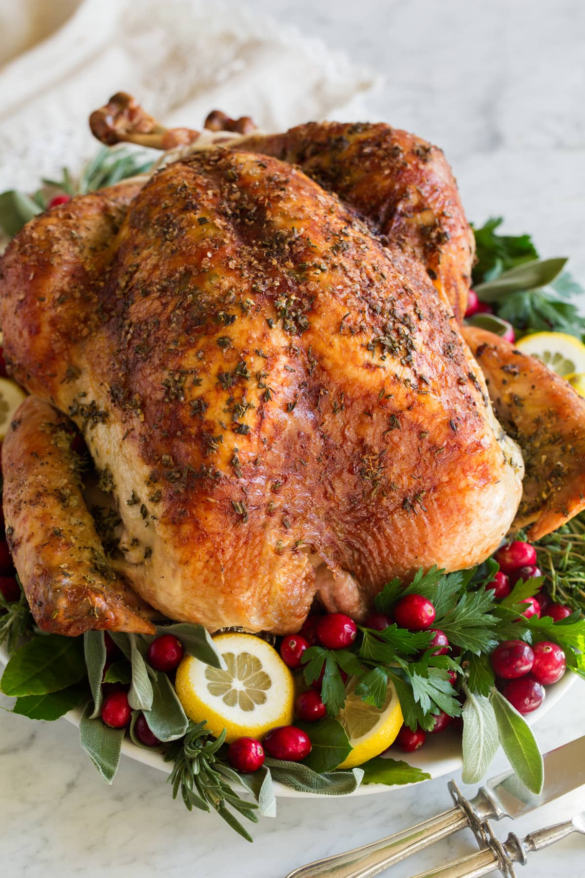 Close up image of a roasted turkey.