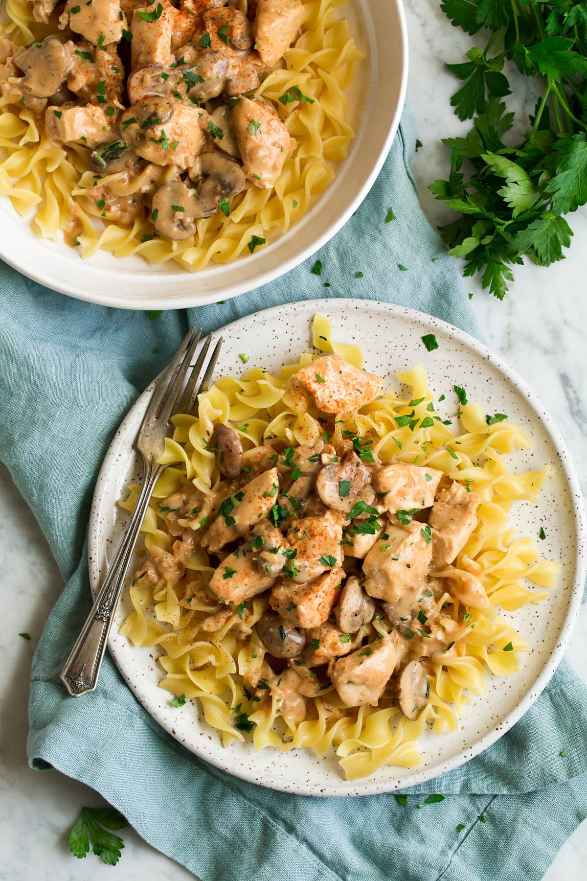 Overhead photo showing two servings of chicken stroganoff on a dinner plates.