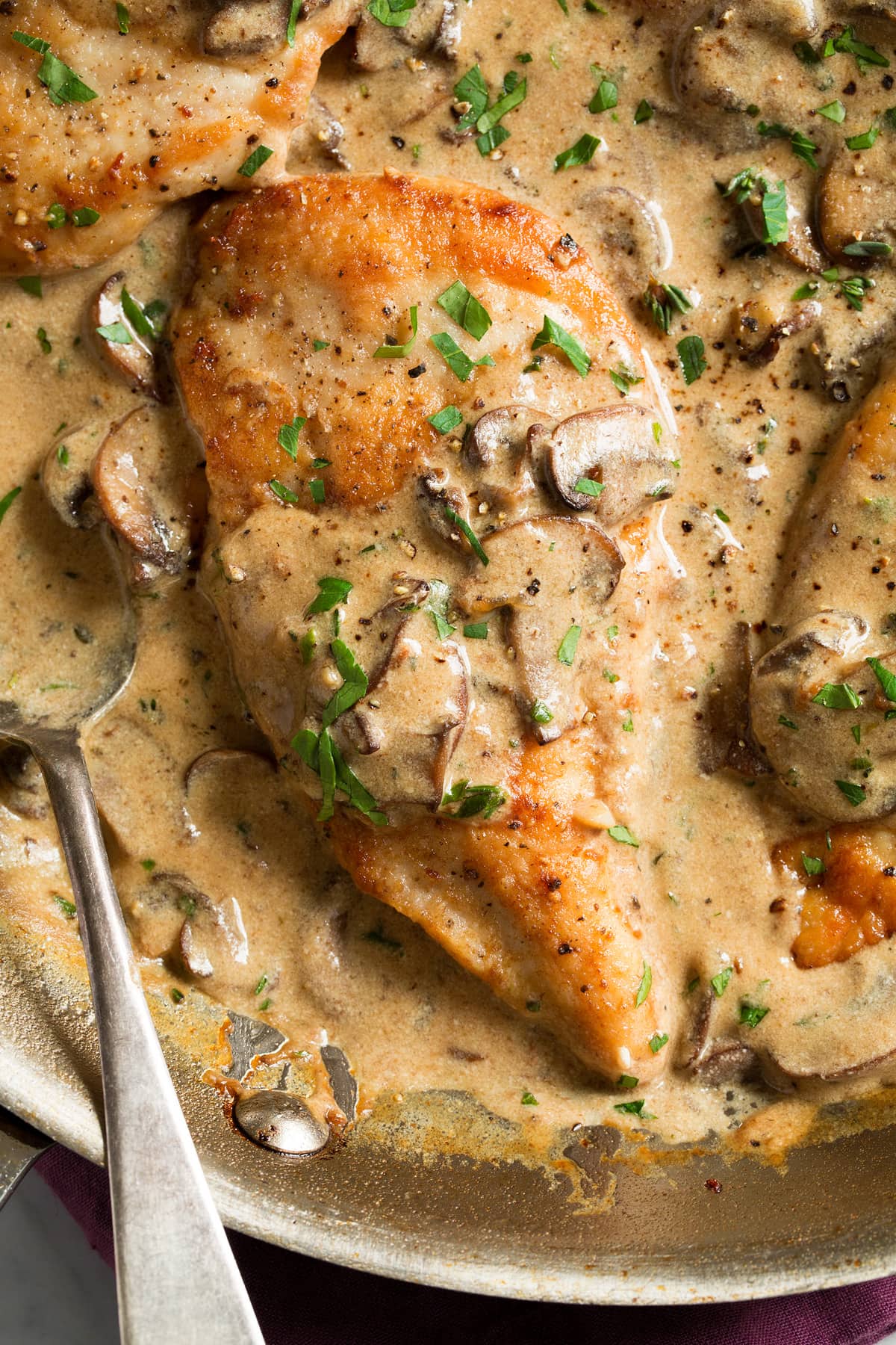 Close up image of single breast of Chicken Marsala