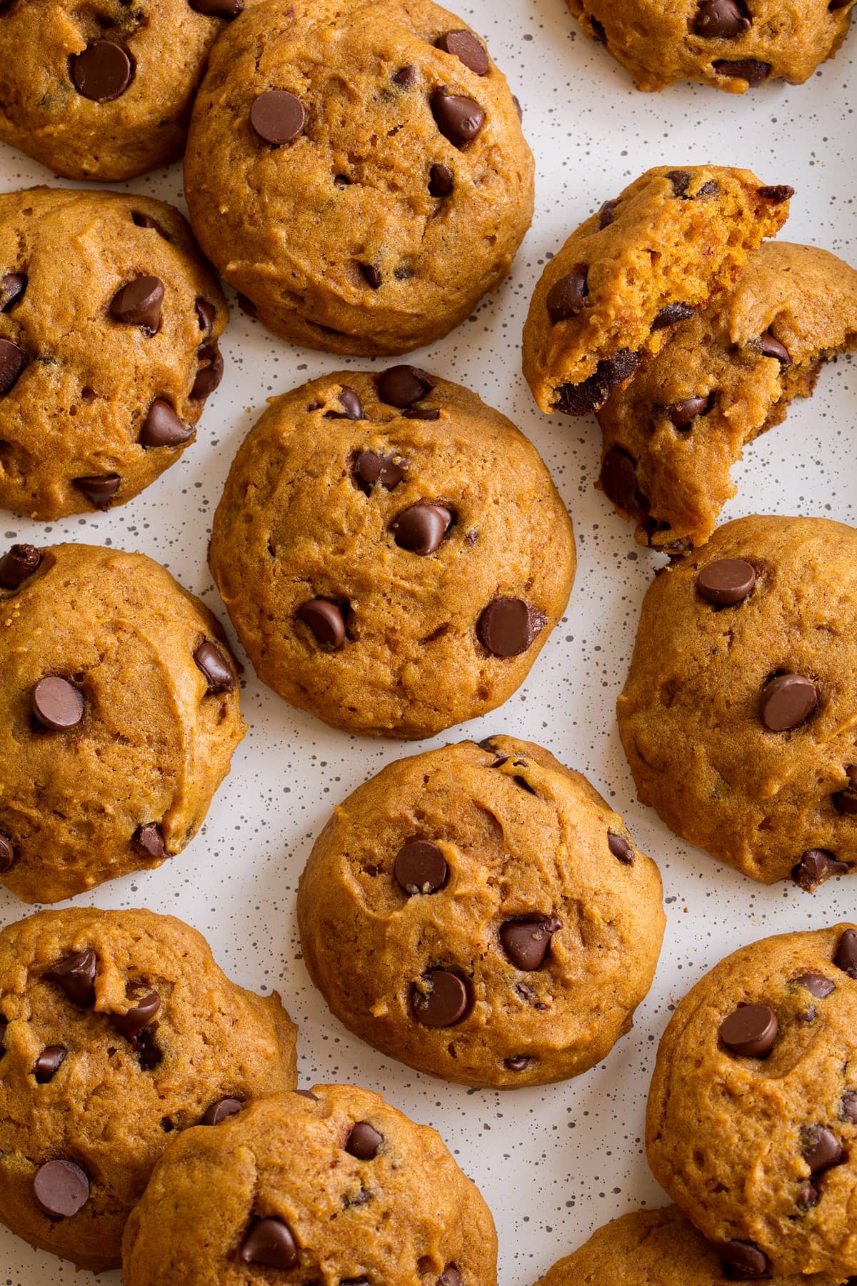 Pumpkin chocolate chip cookies shown overhead on a white baking sheet.