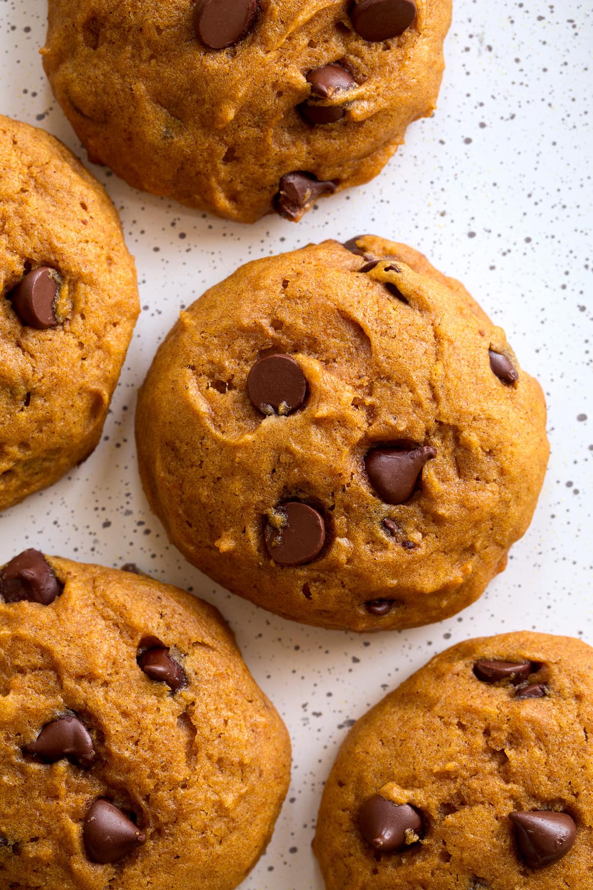 Overhead close up image of pumpkin cookie.