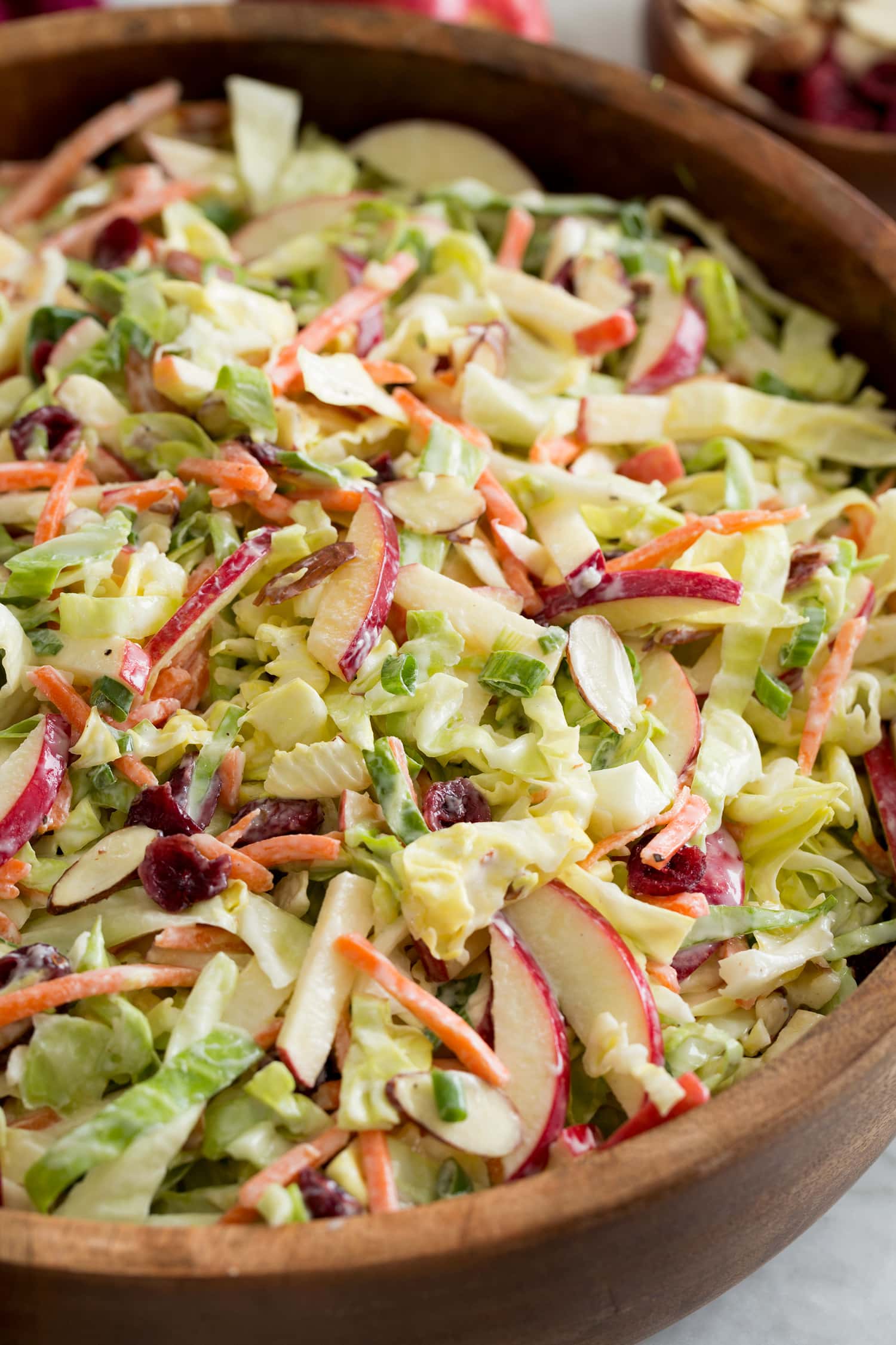 Close up apple slaw photo.